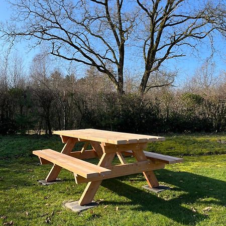 Vakantiehuis Eikzicht Gelegen Aan Het Bos Elsloo  Luaran gambar