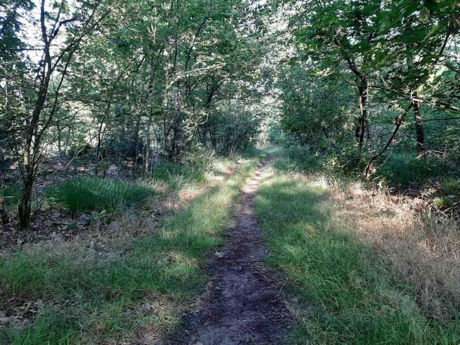 Vakantiehuis Eikzicht Gelegen Aan Het Bos Elsloo  Luaran gambar