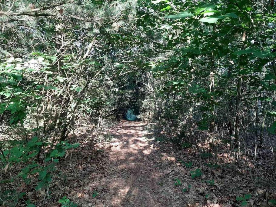Vakantiehuis Eikzicht Gelegen Aan Het Bos Elsloo  Luaran gambar