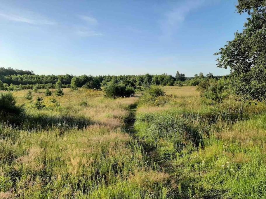 Vakantiehuis Eikzicht Gelegen Aan Het Bos Elsloo  Luaran gambar