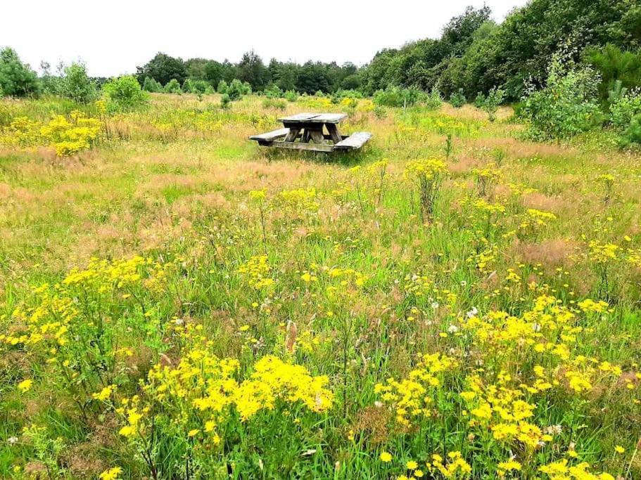 Vakantiehuis Eikzicht Gelegen Aan Het Bos Elsloo  Luaran gambar
