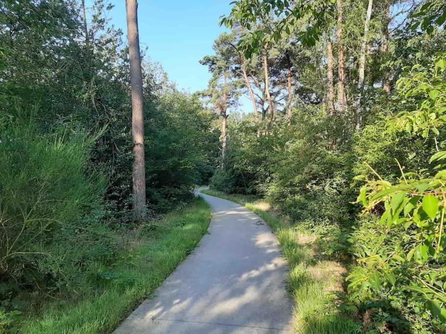 Vakantiehuis Eikzicht Gelegen Aan Het Bos Elsloo  Luaran gambar