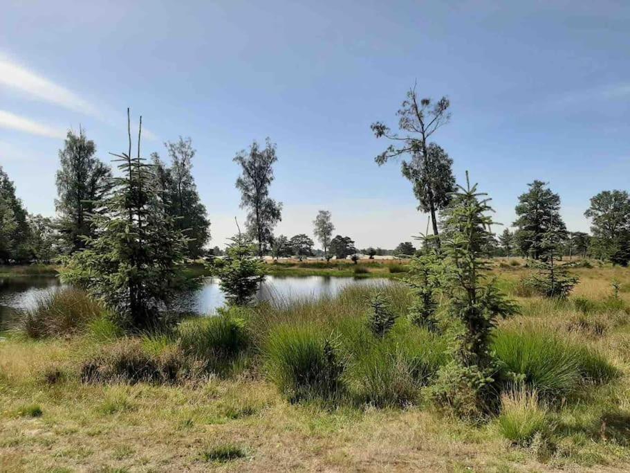 Vakantiehuis Eikzicht Gelegen Aan Het Bos Elsloo  Luaran gambar