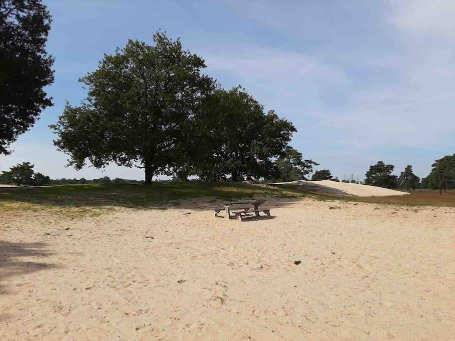 Vakantiehuis Eikzicht Gelegen Aan Het Bos Elsloo  Luaran gambar