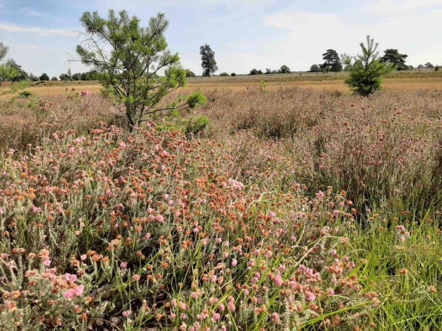 Vakantiehuis Eikzicht Gelegen Aan Het Bos Elsloo  Luaran gambar