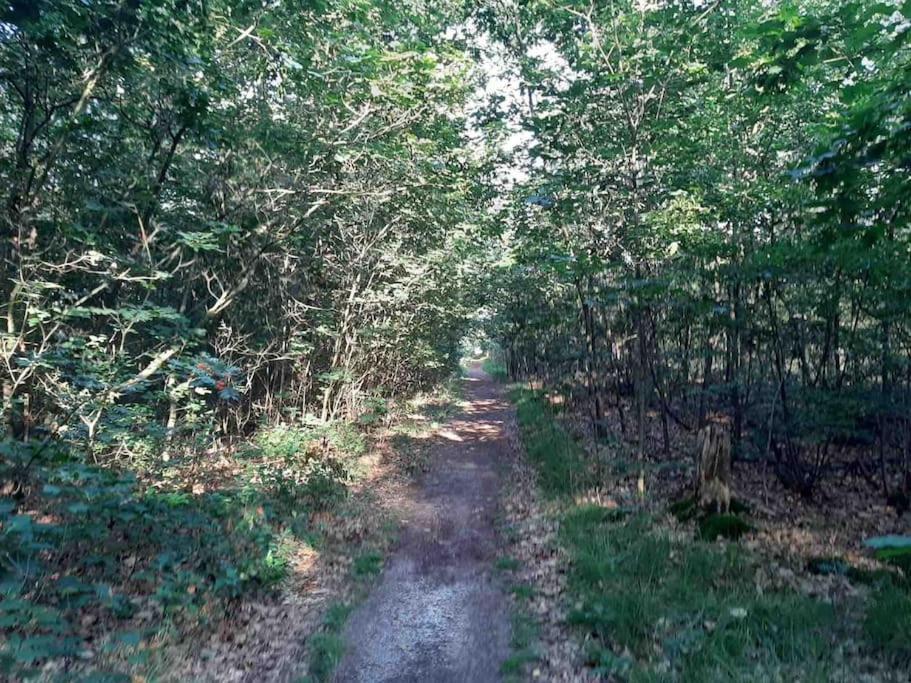 Vakantiehuis Eikzicht Gelegen Aan Het Bos Elsloo  Luaran gambar