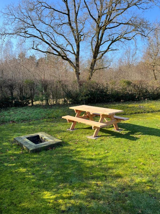Vakantiehuis Eikzicht Gelegen Aan Het Bos Elsloo  Luaran gambar